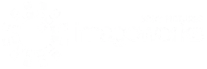 imageworks-vfx-school