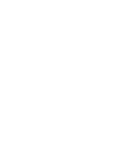 zoic